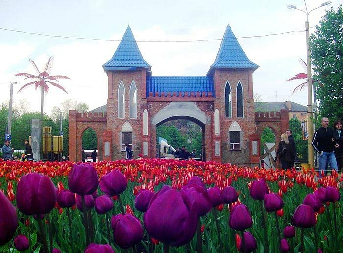 Kirovohrad Arboretum image