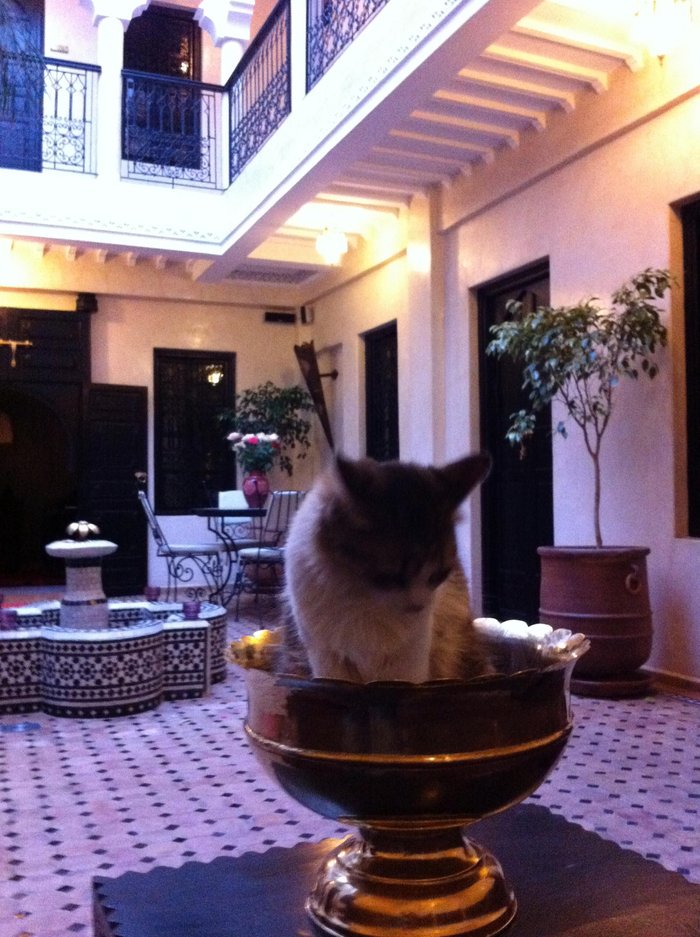 Imagen 2 de Riad Palais Delia