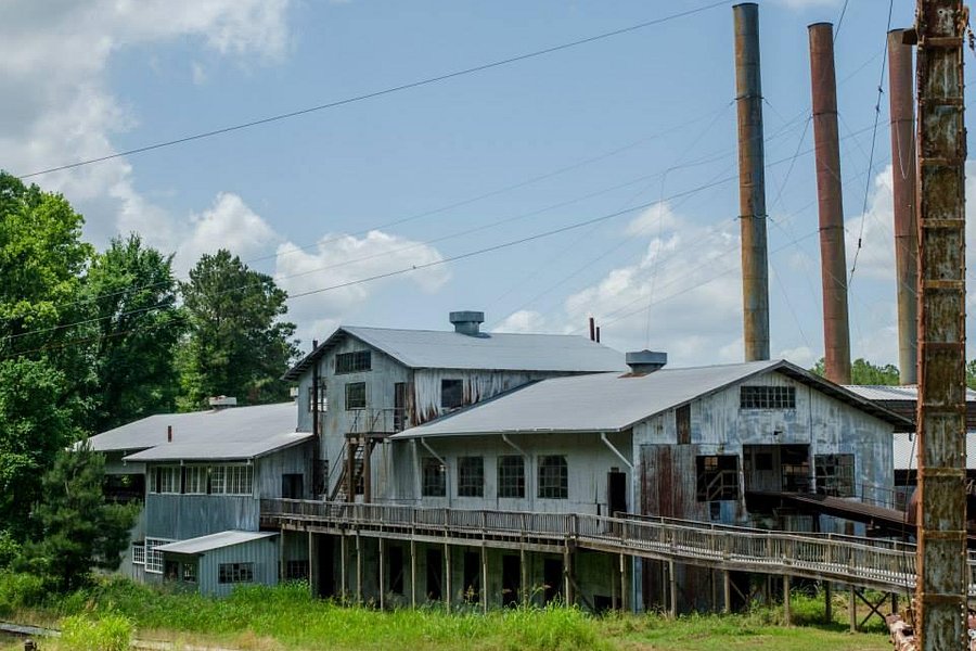 Southern Forest Heritage Museum image