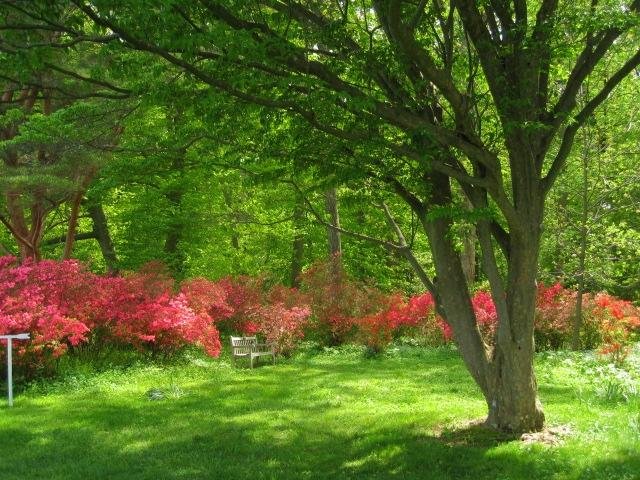 A Dream House Comes to Winterthur - Winterthur Museum, Garden & Library