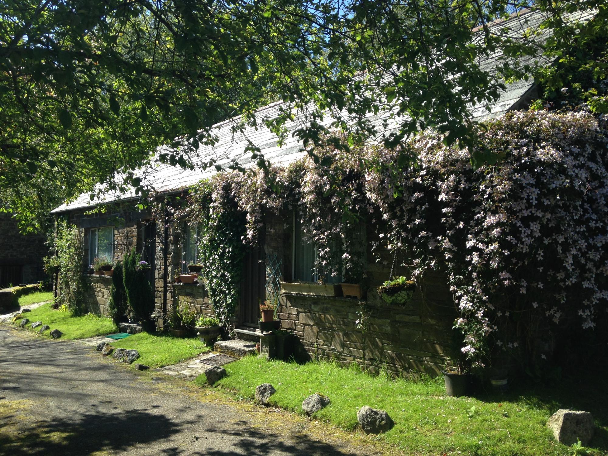 COOMBE FARM HOTEL - Updated 2021 Prices, Guesthouse Reviews, And Photos ...