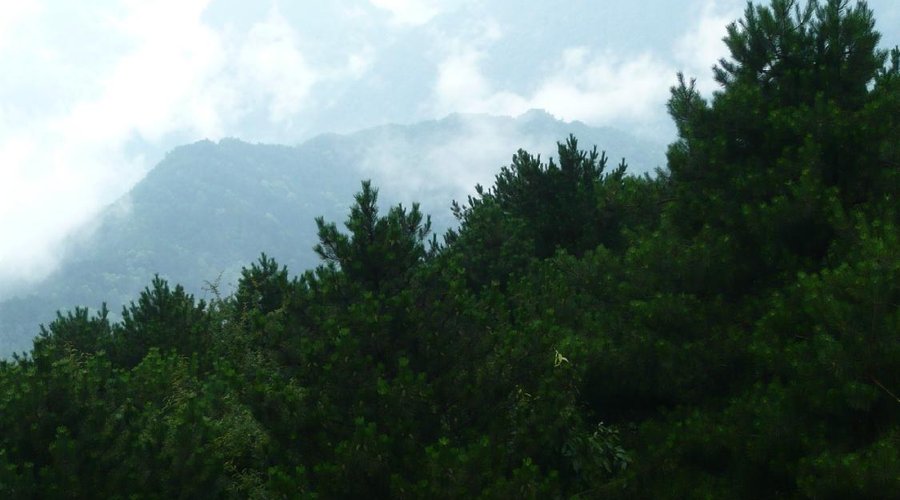 Huanggangshan - highest peak of Wuyi Shan NP