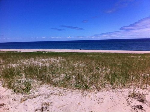Scenic 98 Coastal - Here vs There: My trip to Cape Cod