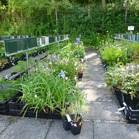 NURSERY
