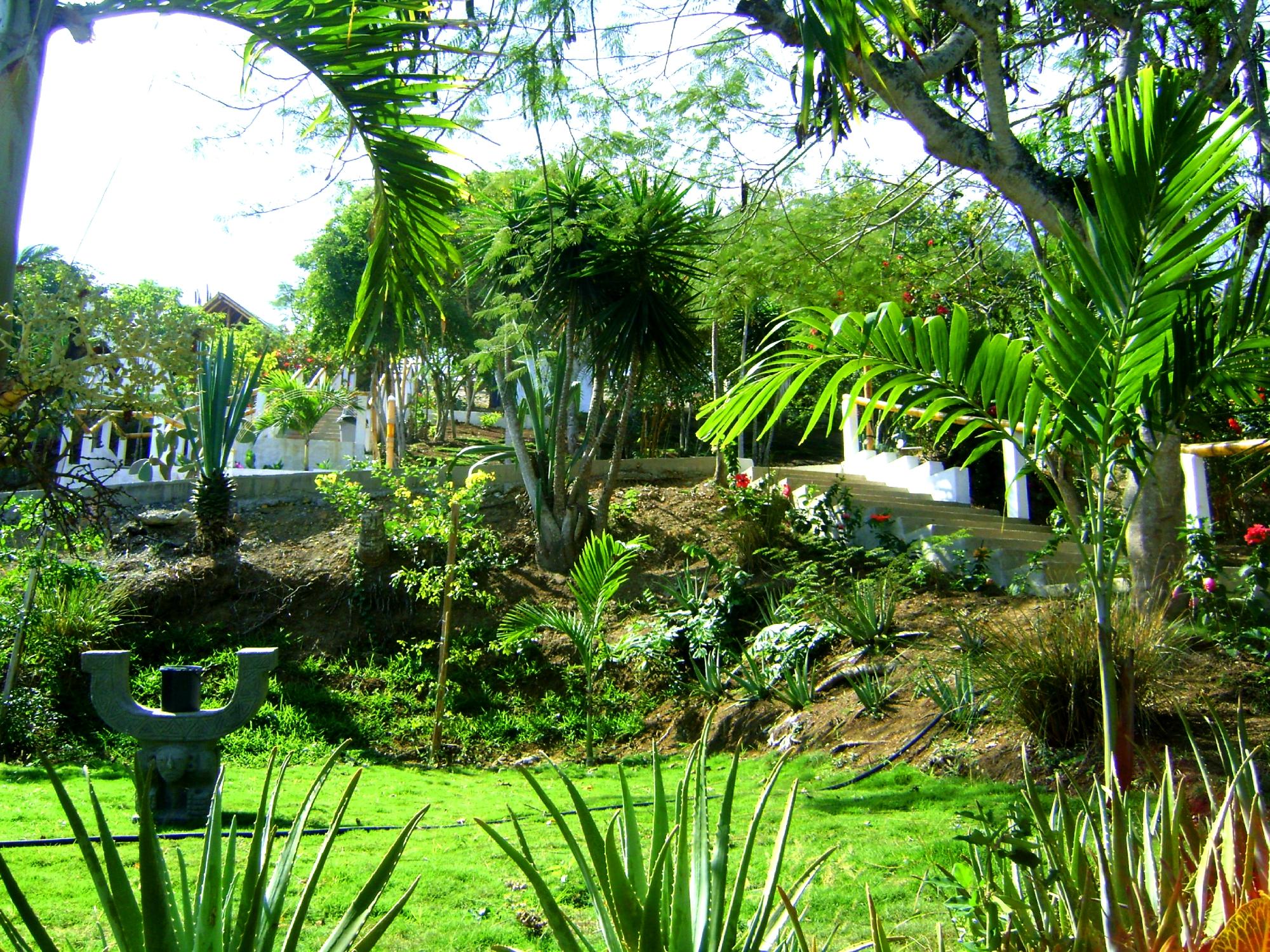 Hotel photo 37 of Nativa Bambu Ecolodge.