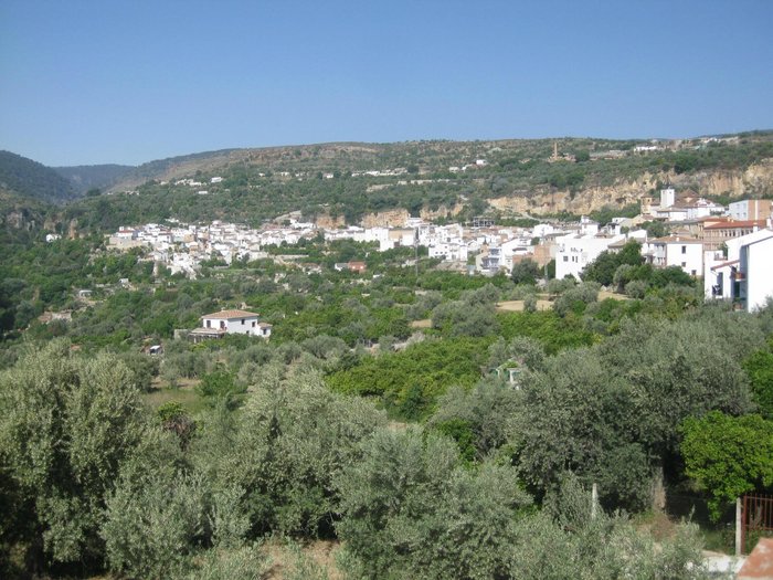 Imagen 2 de Cortijo El Pino Retreat