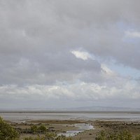 View from the Bird Hide