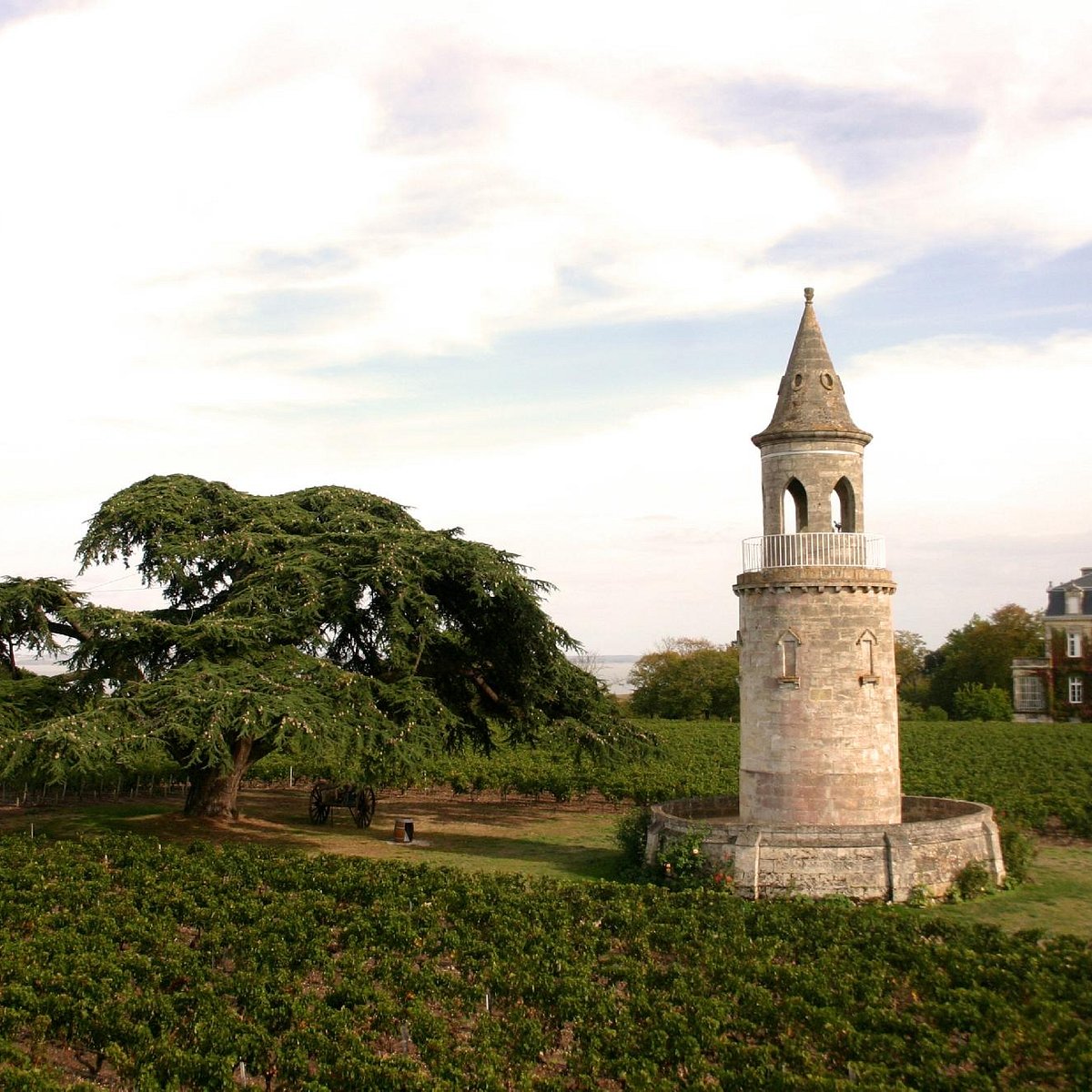 chateau de tour de by