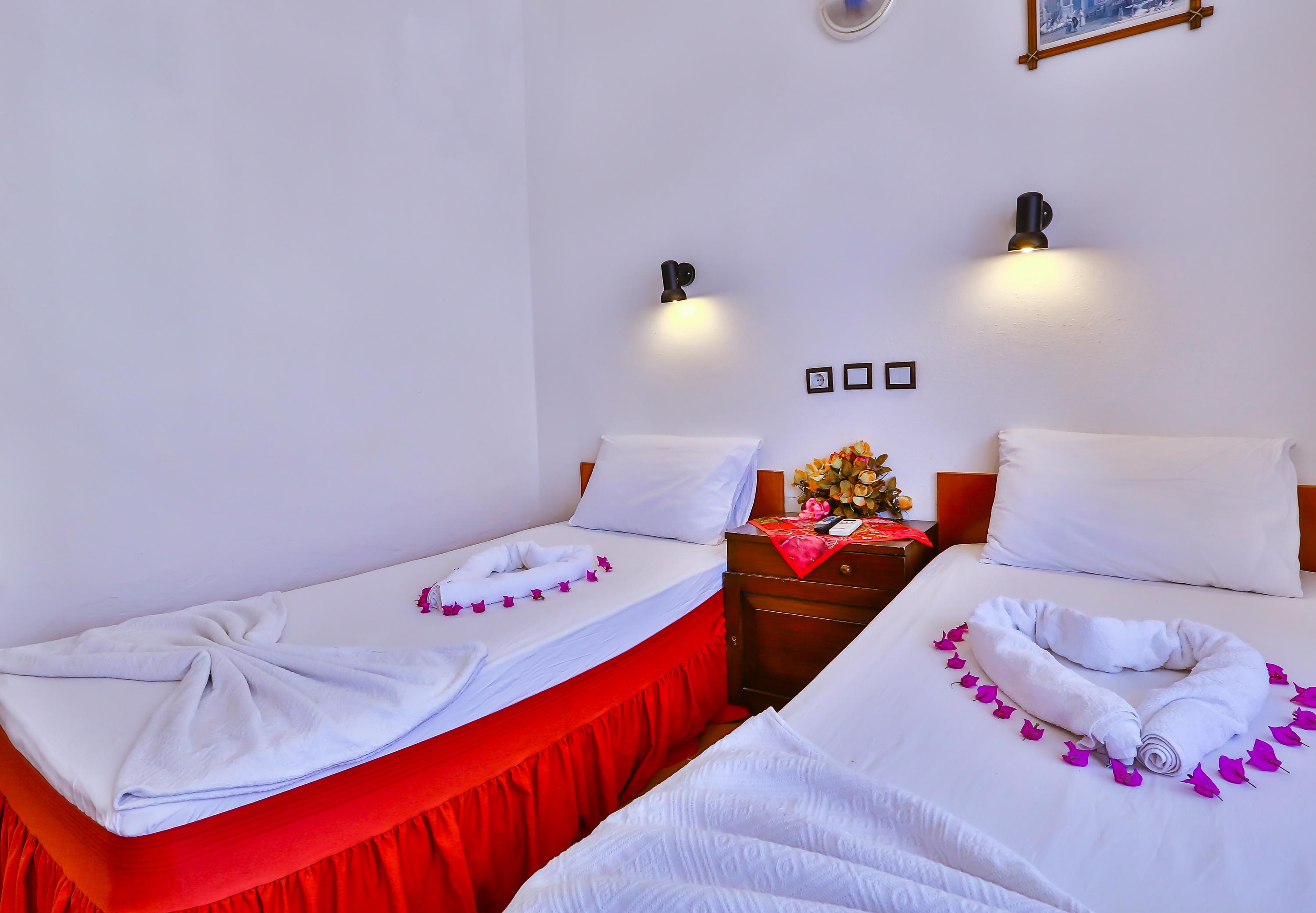 Hotel photo 19 of Ani Pension.