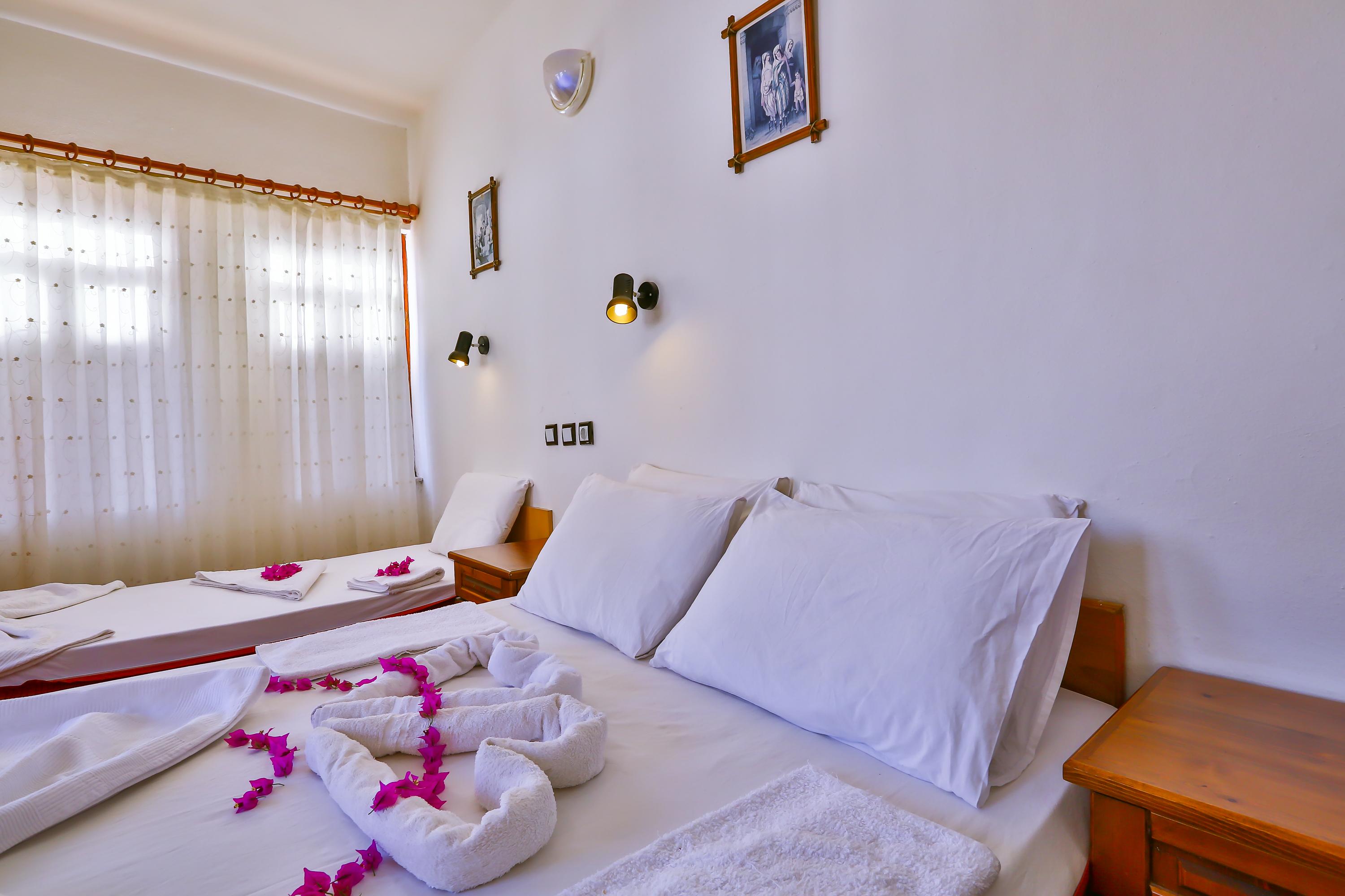 Hotel photo 17 of Ani Pension.