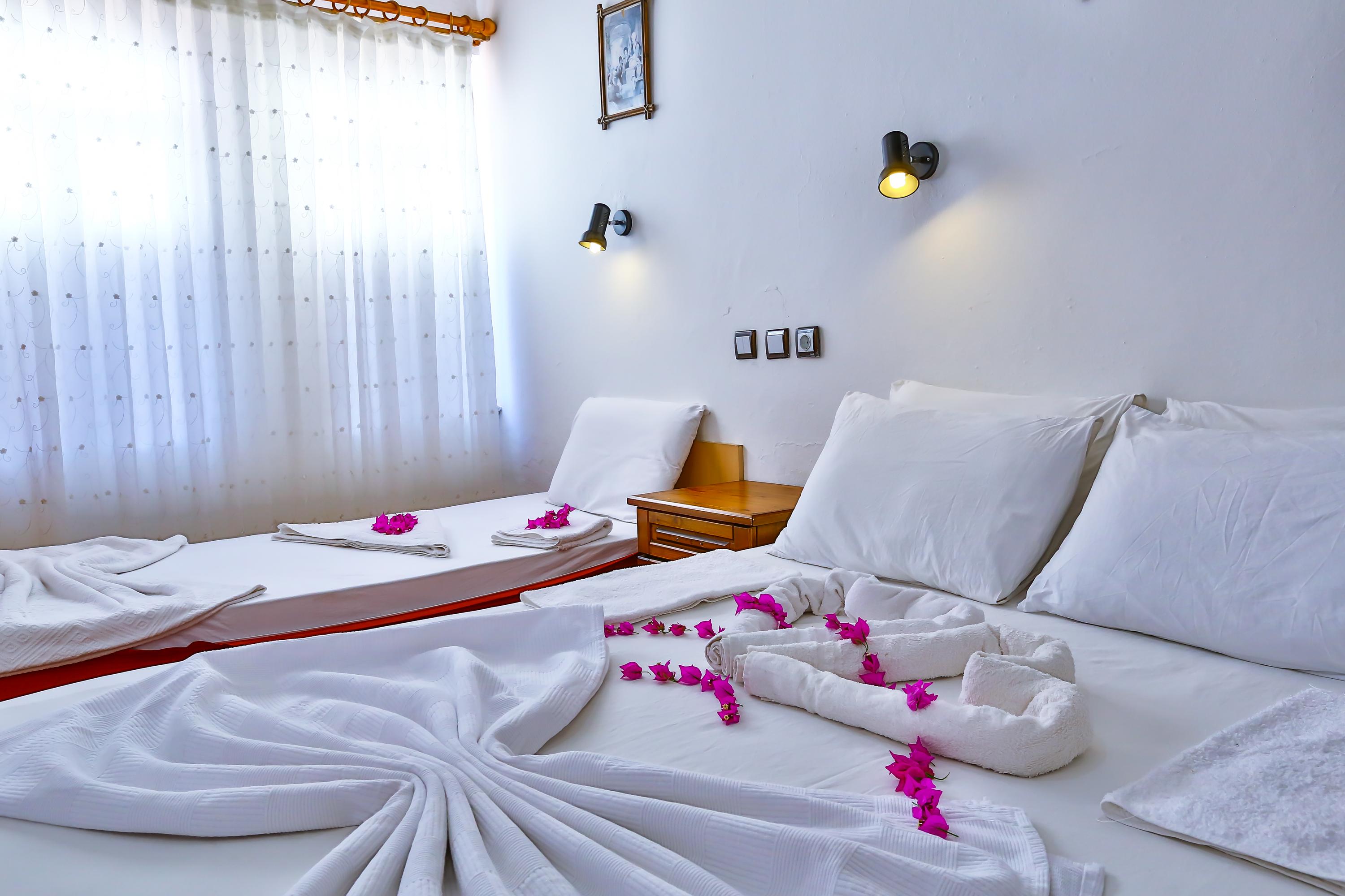 Hotel photo 1 of Ani Pension.