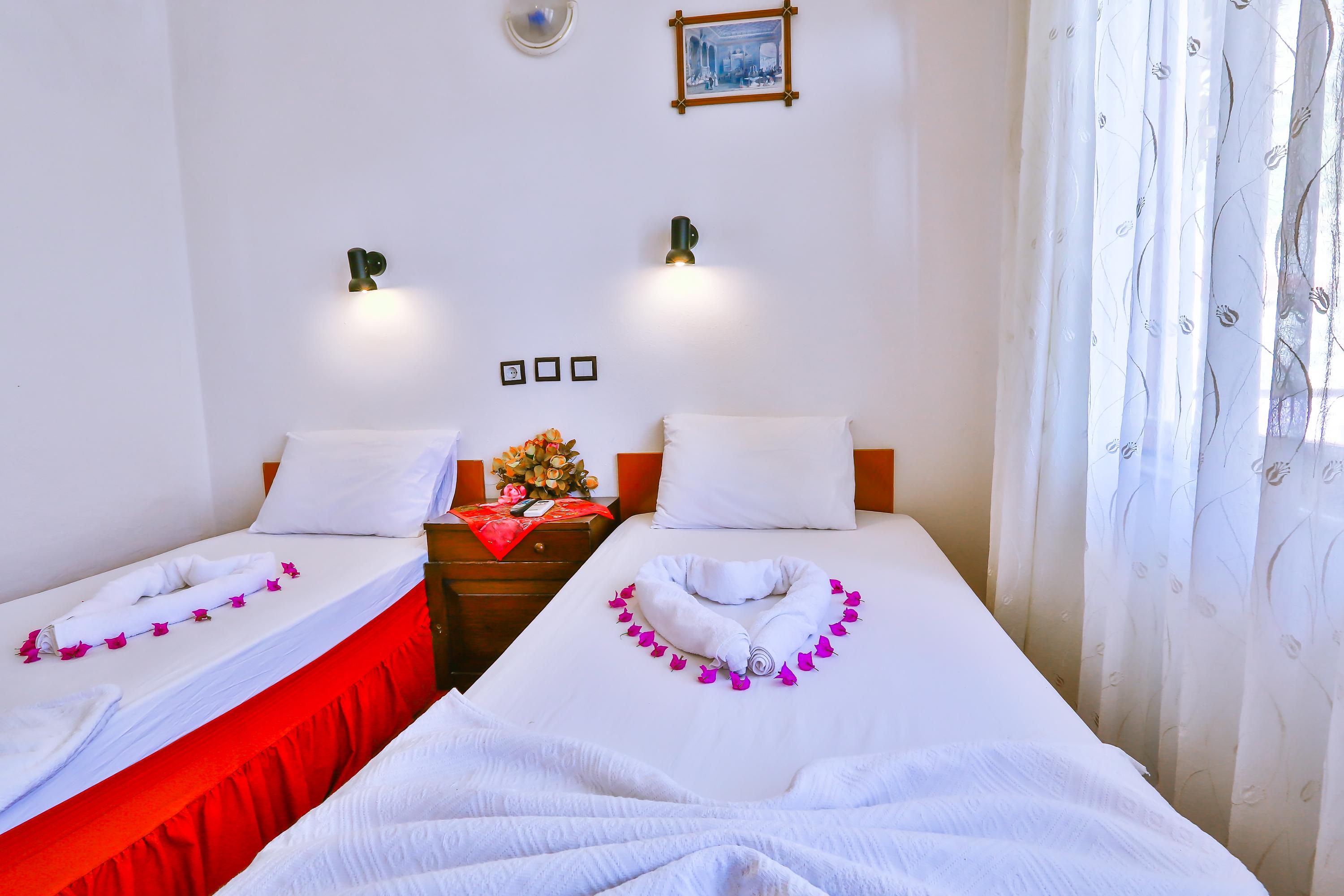 Hotel photo 6 of Ani Pension.