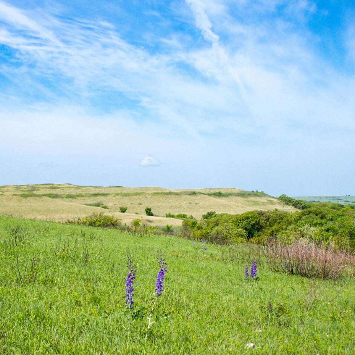 Konza Prairie Research Natural Area - All You Need to Know BEFORE You ...