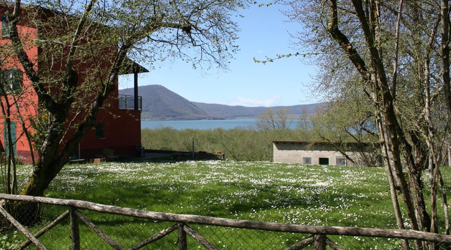 Vista Lago dal giardino