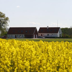 Hobykrok B&amp;B, hotel in Lund