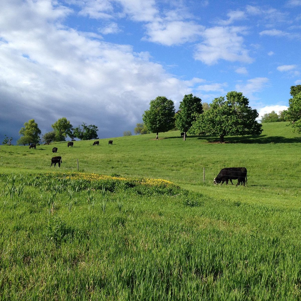 GIBBET HILL BARN AND TRAILS (Groton) 2023 What to Know BEFORE You Go