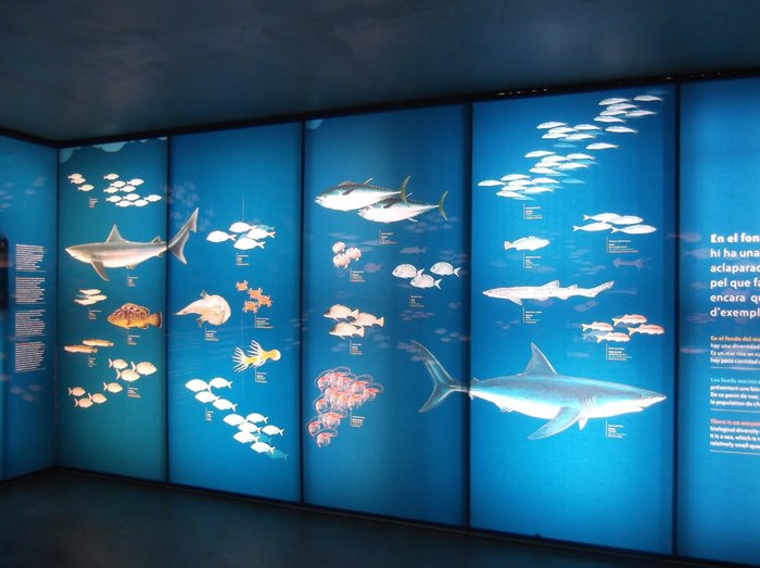 Imagen 4 de Museu de la Pesca