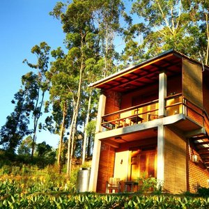 Cottage View