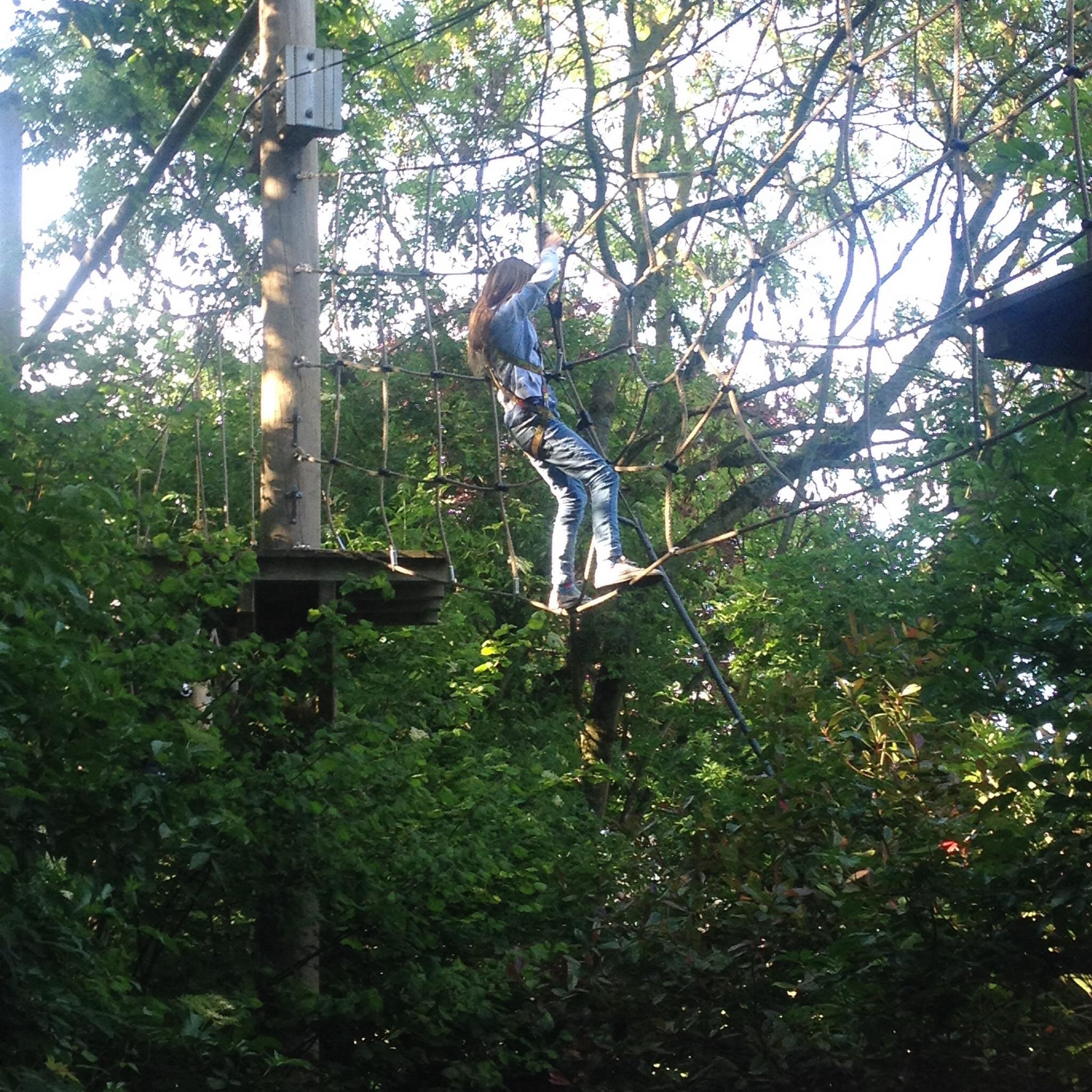 2024 Treetop Challenge   Fun In The Treetops 