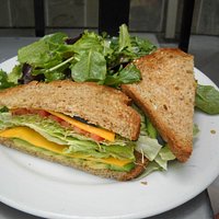 vegetarian sandwich with side green salad