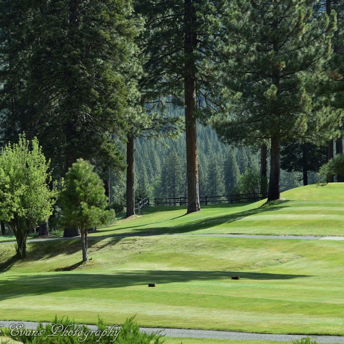 Plumas Pines Golf Course (Graeagle) Aktuelle 2021 Lohnt es sich