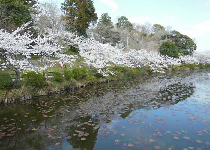 Mobara, Japan 2023: Best Places to Visit - Tripadvisor