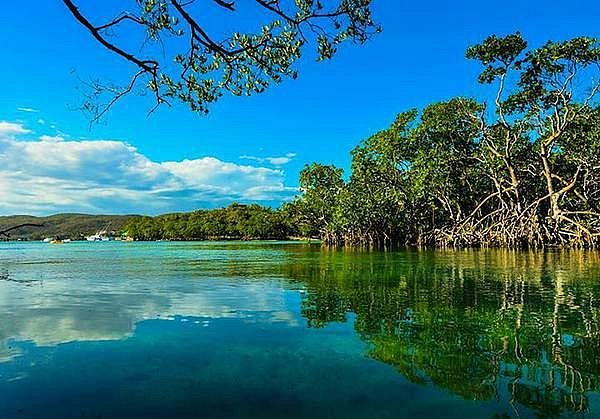 Bosque Estatal De Guánica Guanica All You Need To Know Before You Go 