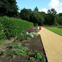 The Rose Garden