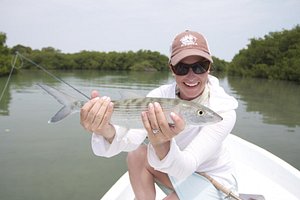 Jack Crevalle fishing at Belize River Lodge - Picture of Belize River  Lodge, Ladyville - Tripadvisor