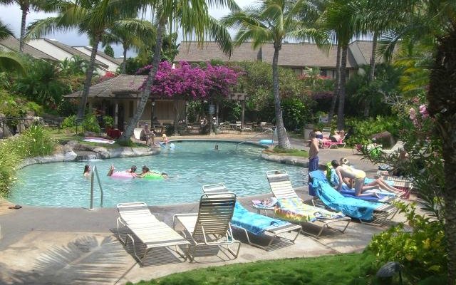 Tropical Pool Near J-105