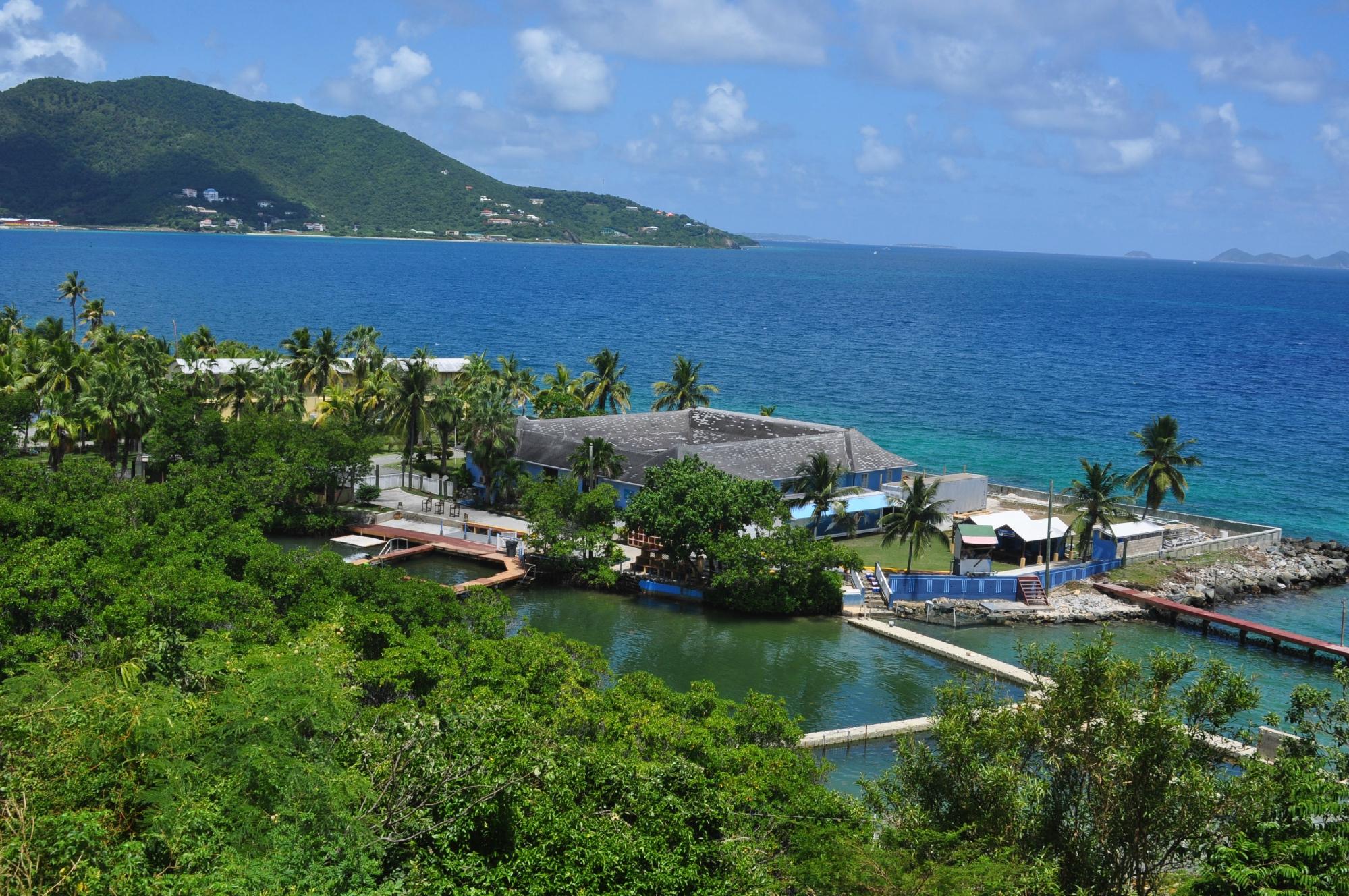 THE 10 BEST Hotels In Tortola British Virgin Islands 2024 From 146   Dolphin Discovery Tortola 