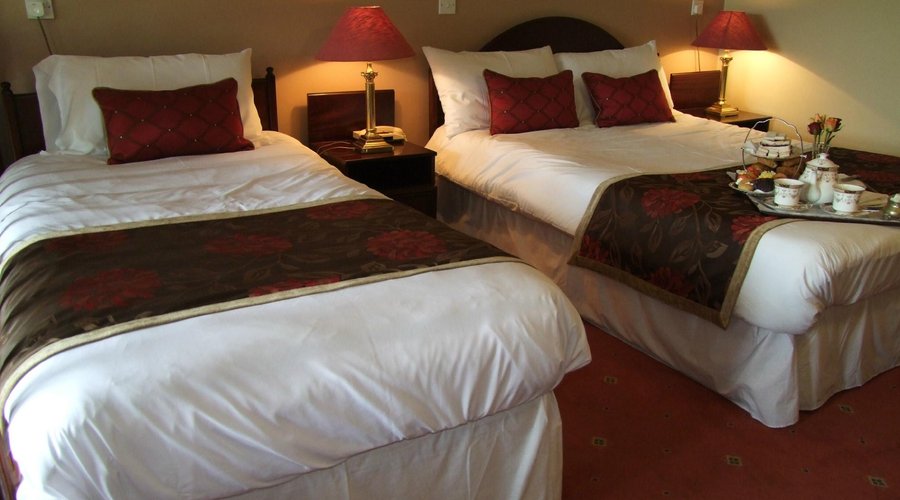 Superior suite / Family Room