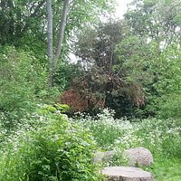 Hotham Park