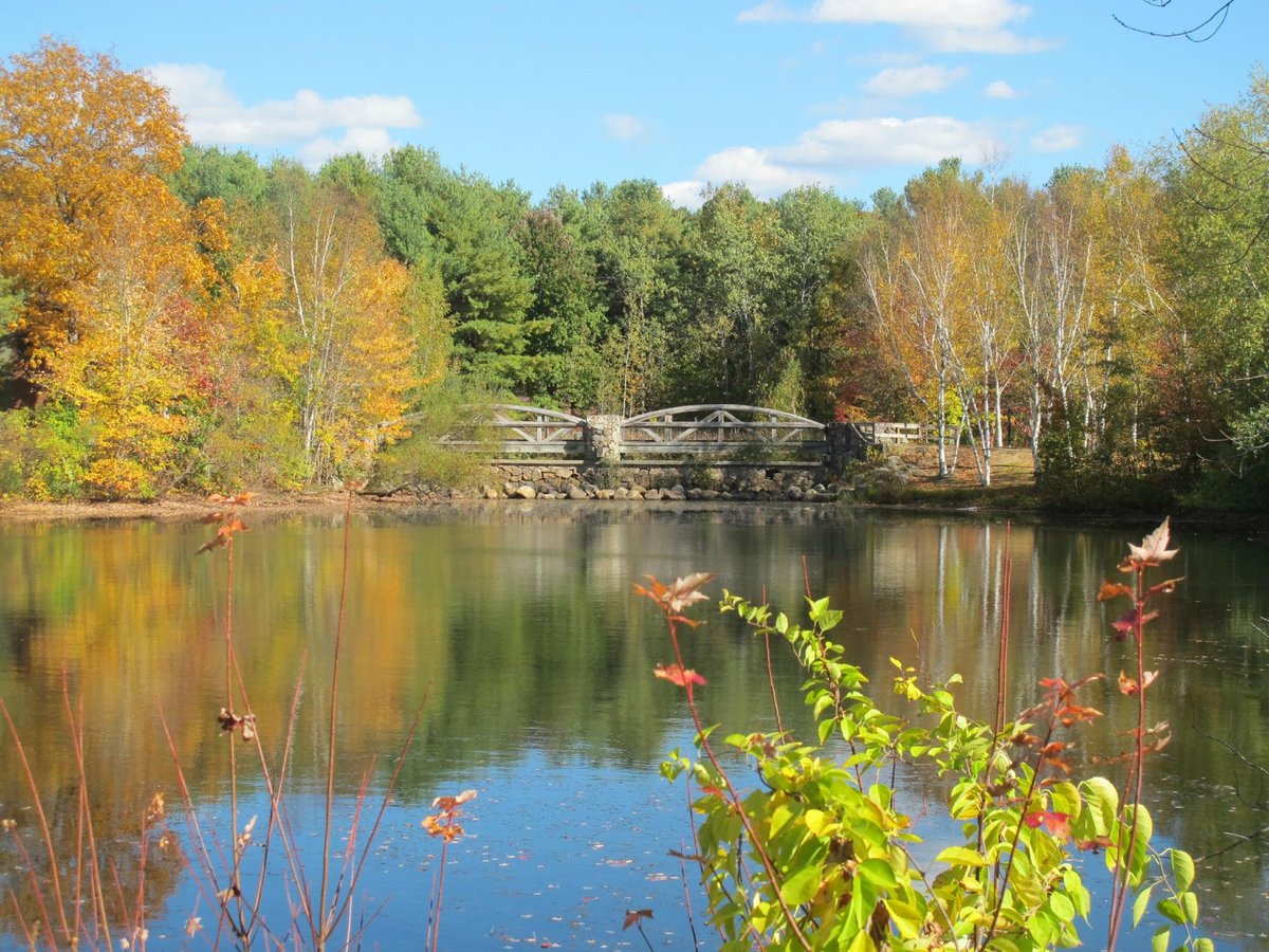 Escape To The Emerald Isle: Exploring Rhode Island’s Lincoln Woods State Park