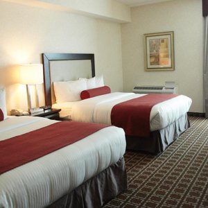 Standard 2 Queen Beds