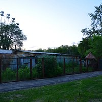 Колесо обозрения