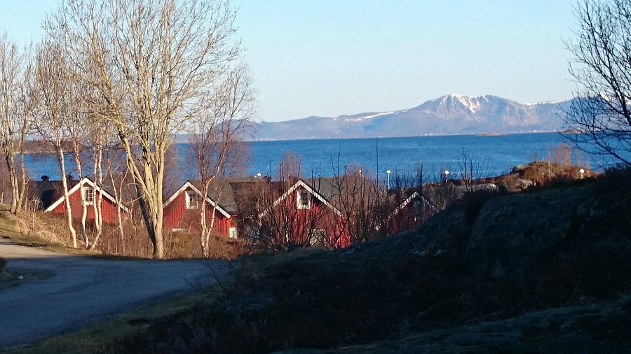 stokmarknes speed dating norway