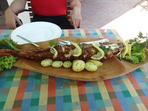 Cibo