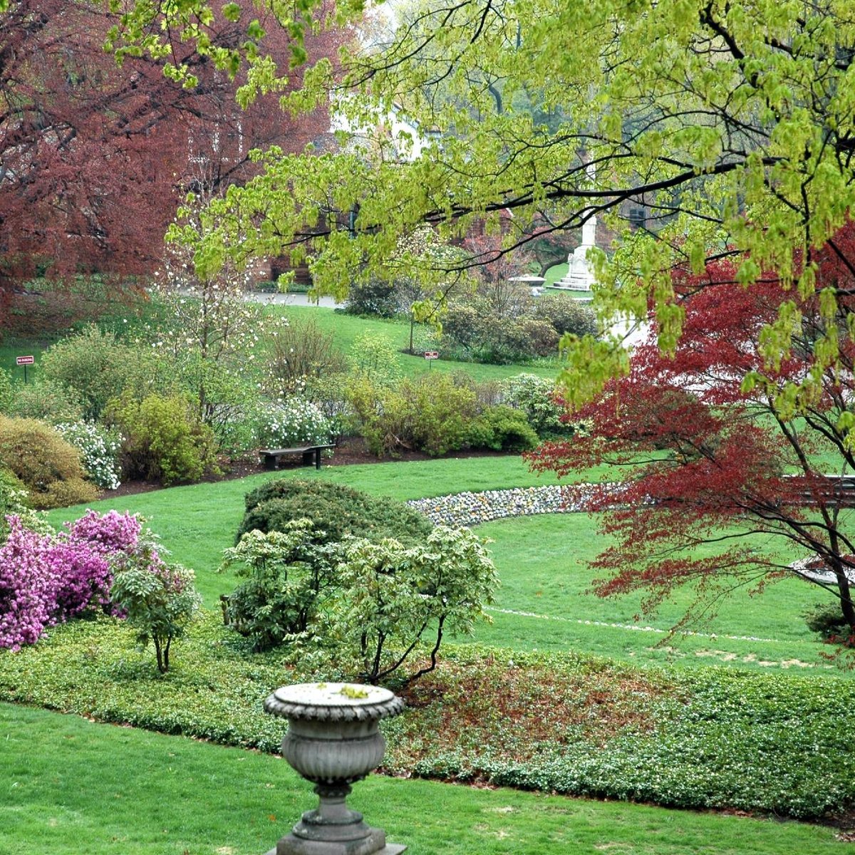 are dogs allowed in mt auburn cemetery