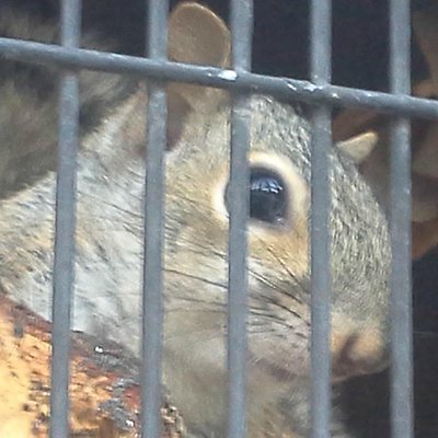 The 5 Best Orlando Nature Wildlife Areas With Photos Tripadvisor The 5 Best Orlando Nature Wildlife Areas With Photos Tripadvisor