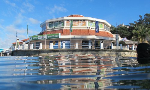 Manly SEA LIFE Sanctuary