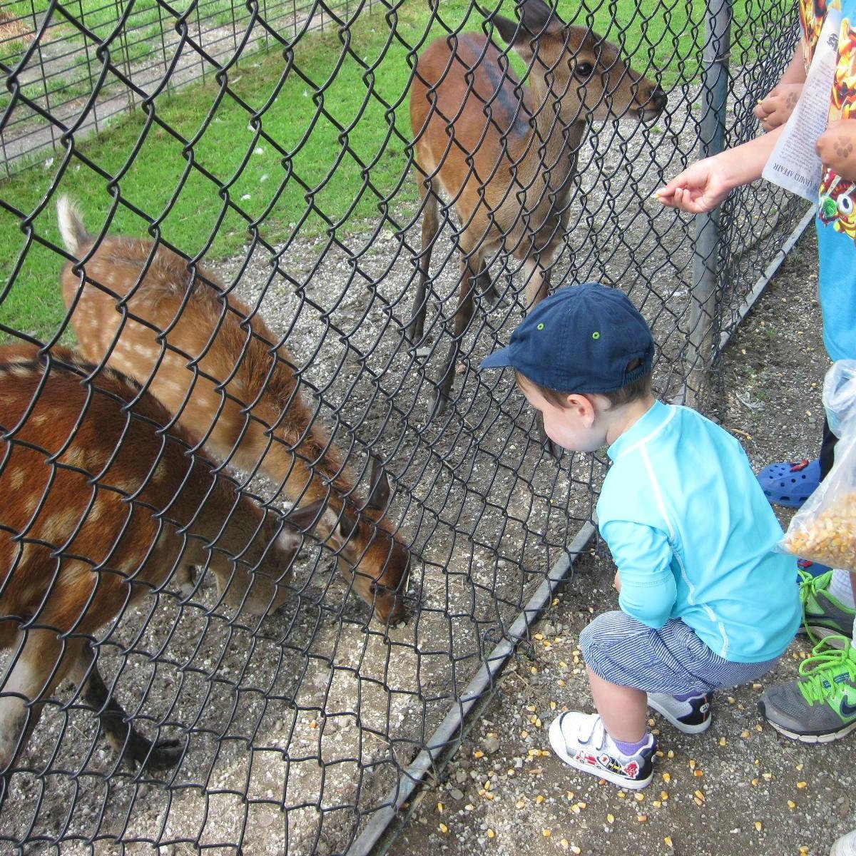 SPACE FARMS ZOO & MUSEUM (Sussex) Ce qu'il faut savoir
