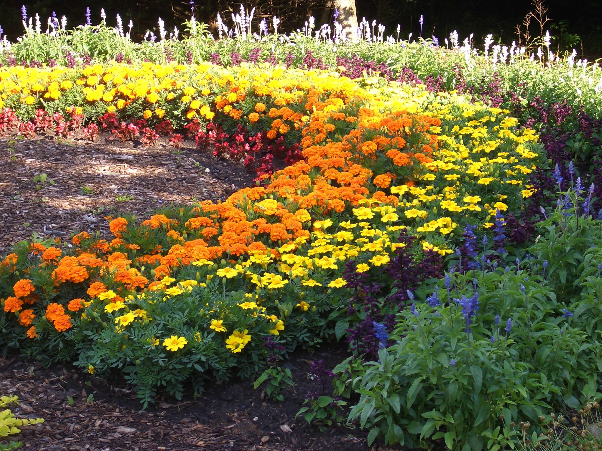 Klehm Arboretum & Botanic Garden, Rockford: лучшие советы перед ...