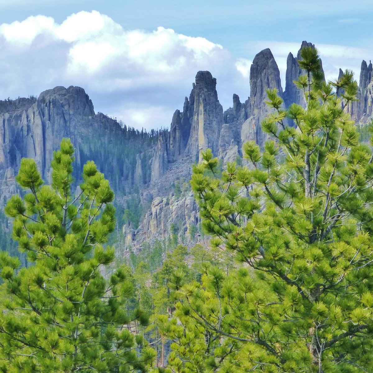 Black Hills - Qué SABER antes de ir (ACTUALIZADO 2025) - Tripadvisor