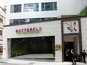 Butterfly on Wellington in Hong Kong, image may contain: Shop, Walking, Person