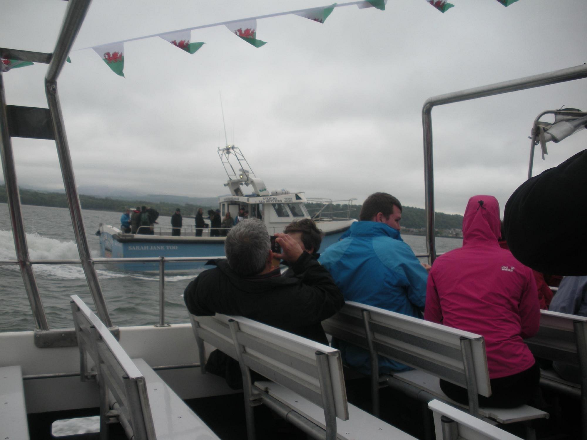 starida puffin island cruises & sea fishing trips