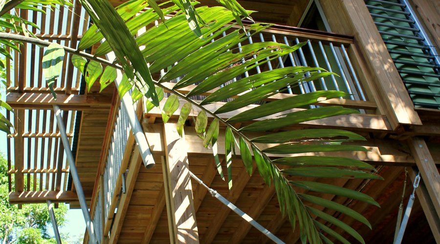 Une vue des bungalows du Ka Waboana Lodge d'un beau matin