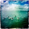 Goolwa19