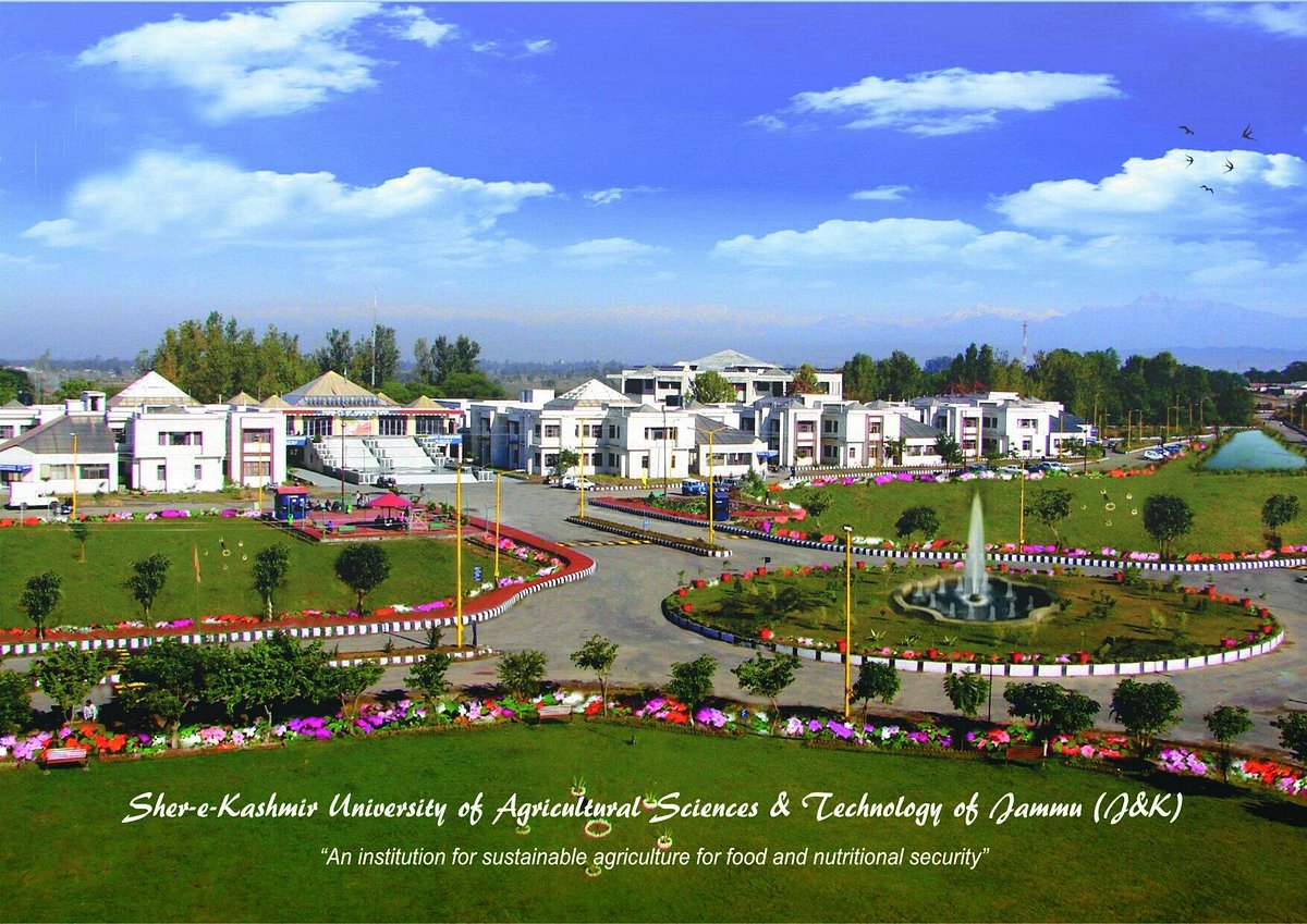 SHEREKASHMIR UNIVERSITY (Jammu City) 2023 Qué saber antes de ir