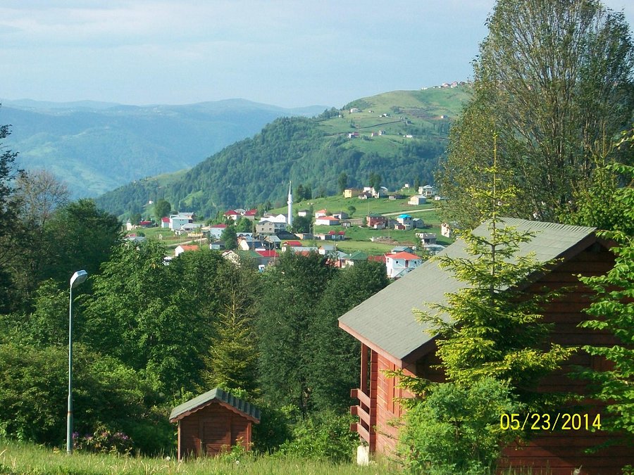 Trabzon Ekoturizm Yayla Tatili Konaklama Bungalov Ve Oteller Yayla Evleri